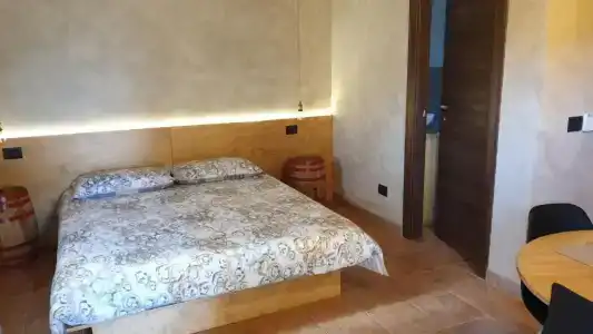 L'Antico Vigneto - 26