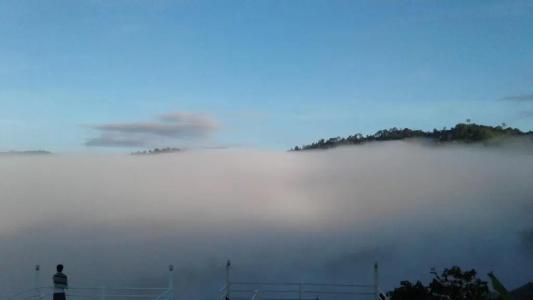 Khao Kho Tree Top - 44