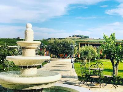 Vinea Resort & Spa - 34