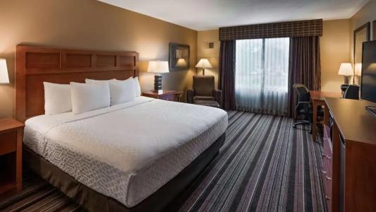 Best Western Plus - 50