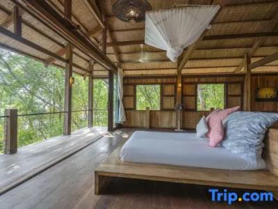 Mango Bay Resort - 101