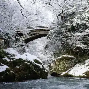 Shirasagiyu Tawaraya - 18