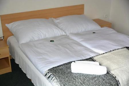 Wellness Vila Bohemia - 71