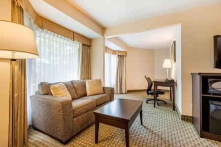 Quality Inn & Suites - 48