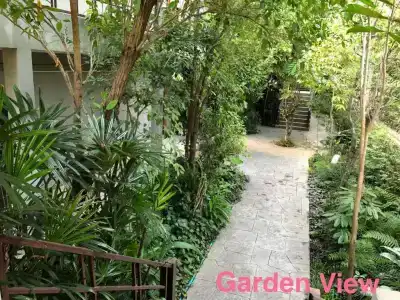 Taman Resort - 31