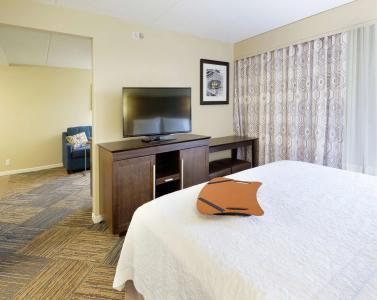 Hampton Inn Downtown - 5