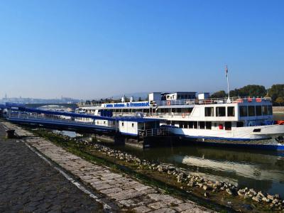 Boat Fortuna - 20
