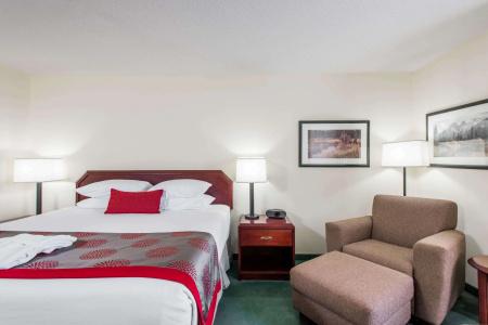 Ramada Plaza Airport and Conference Centre - 25