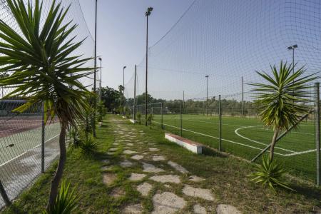 Borgo Degli Ulivi Natural Resort - 6