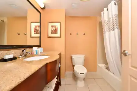 Hampton Inn and Suites South - 6