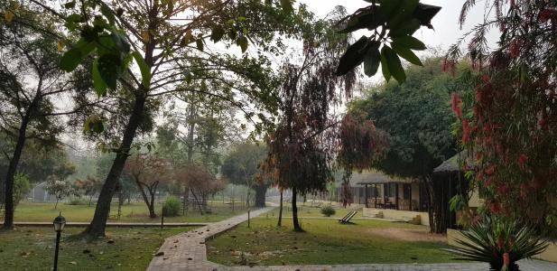 Lumbini Buddha Garden - 17