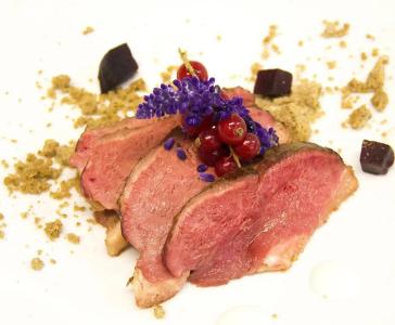 Meisules - 8