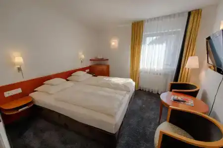 Walfisch - 18