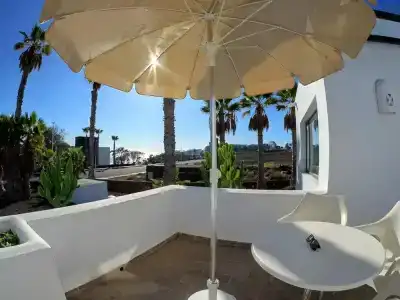 Palmeras Garden - 241
