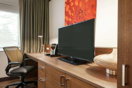 Hilton Garden Inn Minneapolis Airport Mall of America - 42