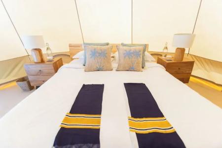 The Maverick Surf and Dive Boutique - 30
