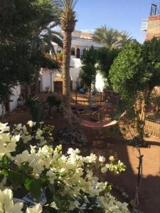Sunrise Dahab Camp - 7