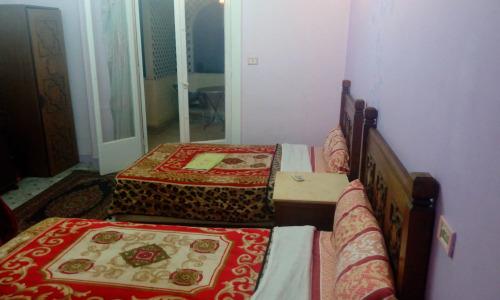 Cairo Moon Hostel - 0