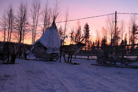 Levi Northern Lights Huts - 9