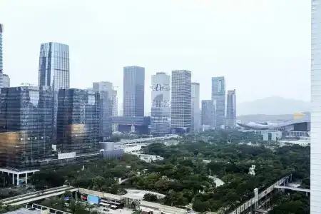 The Ritz-Carlton, Shenzhen - 52