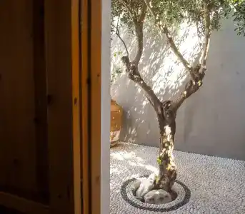 St. George Studios - 13