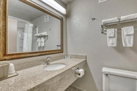 Quality Inn & Suites Downtown - 7