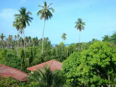 Satva Samui - 18