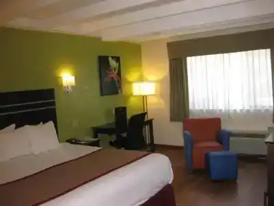 Best Western Orlando West - 28