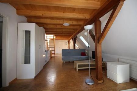 Swiss Star Sihlfeld - 9