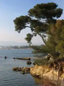 Hôtel Beau Site - Cap d'Antibes - 9