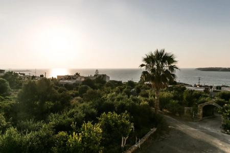 Creta Vitalis - 65