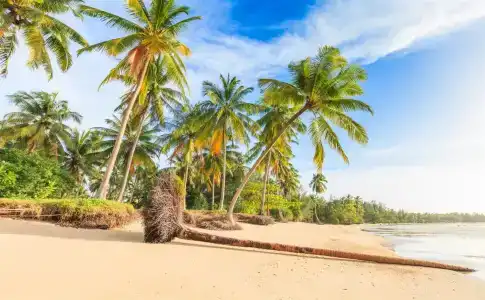 Isara Khao Lak - 16