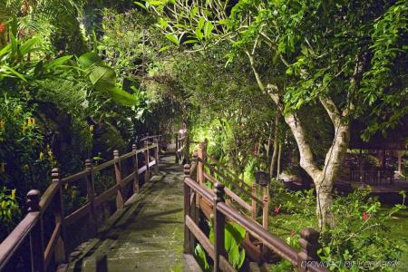Warwick Ibah Luxury Villas & Spa - 30