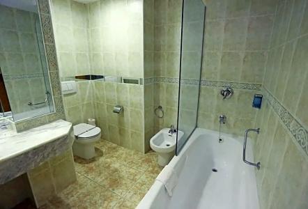 Kaktus Albir - 42