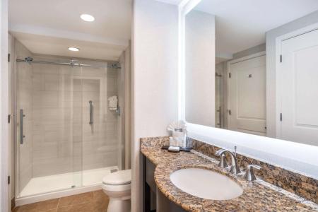 Embassy Suites Tucson - Paloma Village - 9