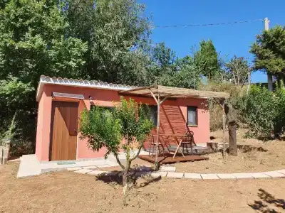 Azienda Agricola Sinisi - 25