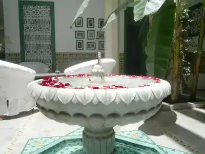 Riad Azahar - 11
