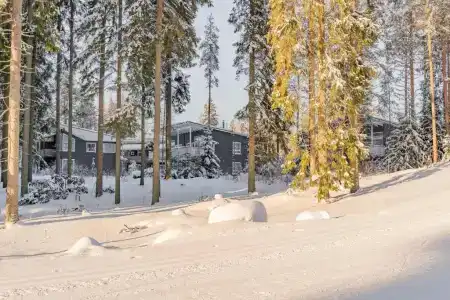 Saimaa Life - 82