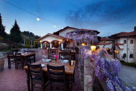 Vinifera Vineyards - 17