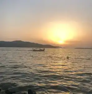 denizyıldızı - 17