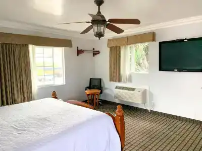 Viking Motel-Ventura - 37