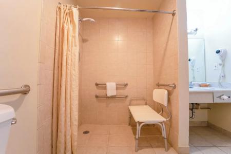 Royal Plaza Inn - 90