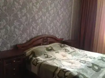 Георгина - 18