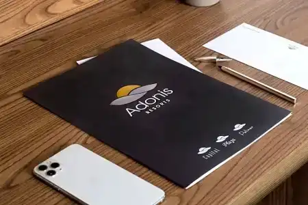 Adonis Capital - 33