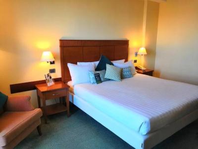 Mercure Leonardo da Vinci Rome Airport - 37