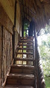 Cabarete Boutique Eco Lodge Beachfront - 128