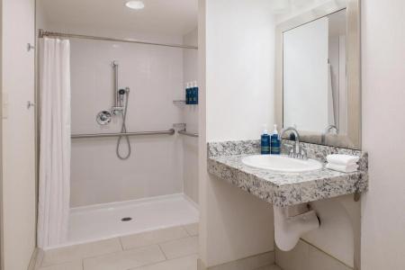 Four Points by Sheraton & Conference Center - 8