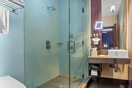 Sirtaj – Beverly Hills - 8