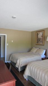 Village Inn & Suites - - 2