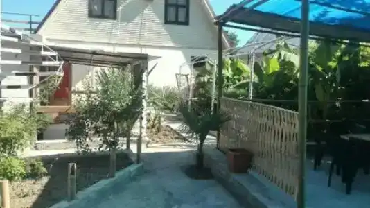 Кот Баюн - 0